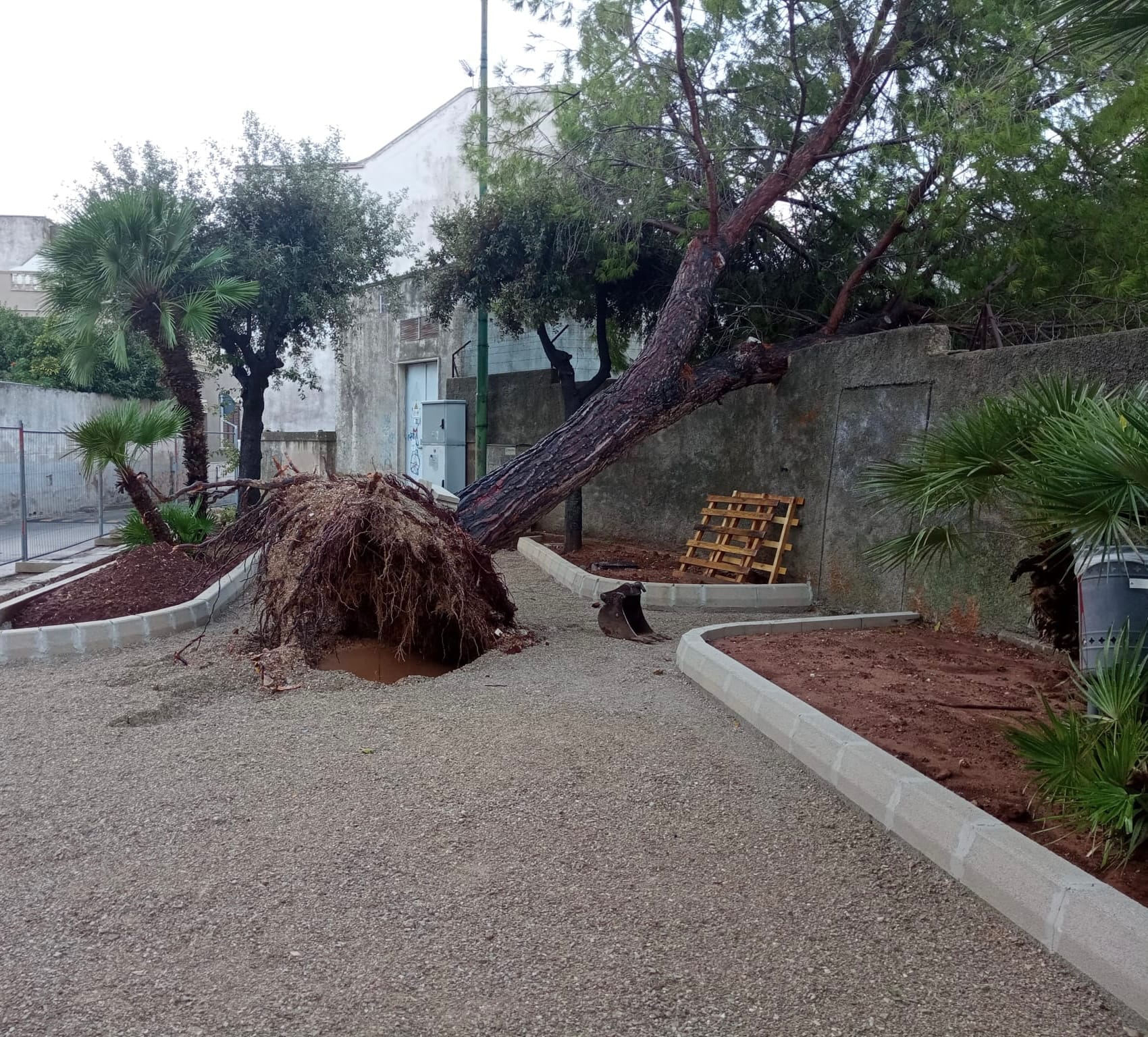Piazzetta via Corsica
