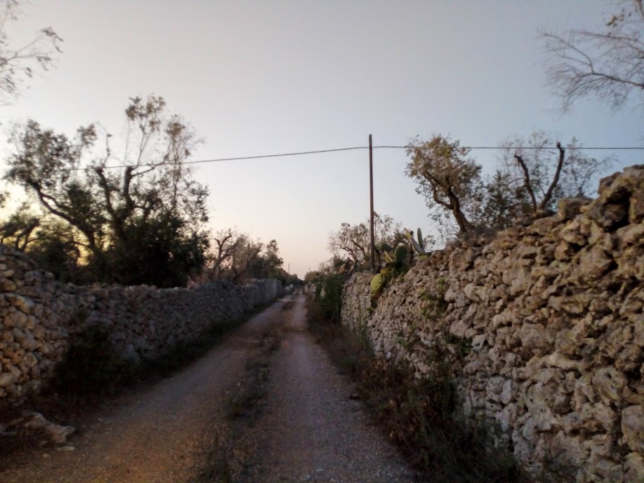 “Ricami di pietra”, via al cantiere-scuola