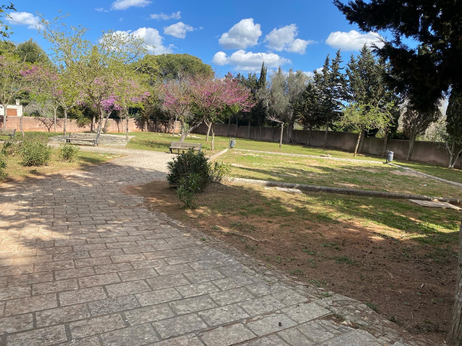 Totaro: “Che ne è del parco della collina della Campana?”