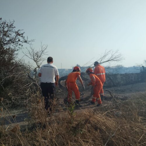 Incendio in Contrada Calò, danni a terreni e alberi caduti sulla Matino-Poggiardo. De Nuzzo ringrazia soccorritori e volontari
