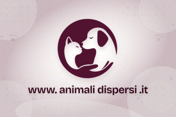 Animali Dispersi, arriva la piattaforma gratuita che usa l’intelligenza artificiale per ritrovare cani e gatti smarriti