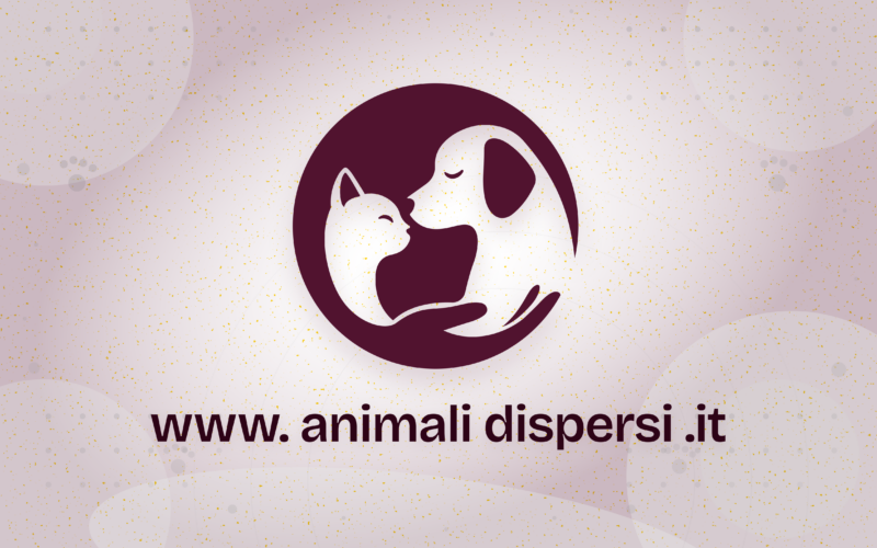 Animali Dispersi, arriva la piattaforma gratuita che usa l’intelligenza artificiale per ritrovare cani e gatti smarriti